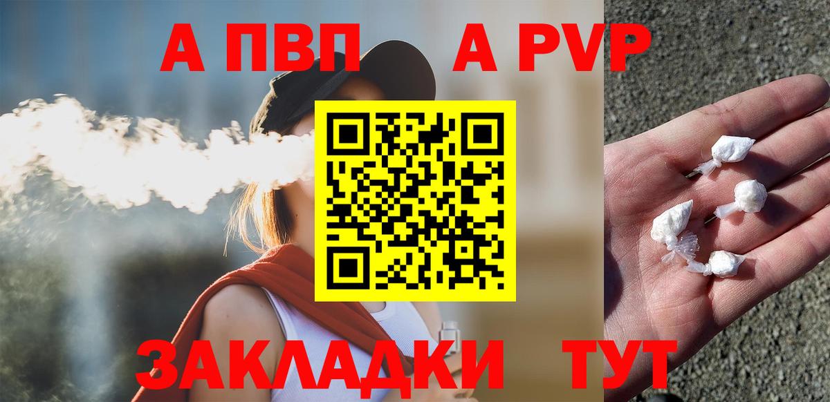 Альфа ПВП СК КРИС Новозыбков