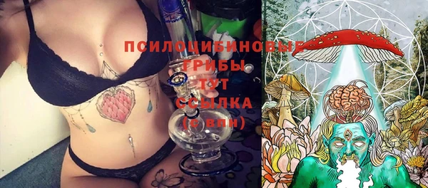 хмурый Нея