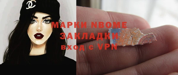 хмурый Нея