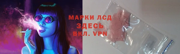 хмурый Нея