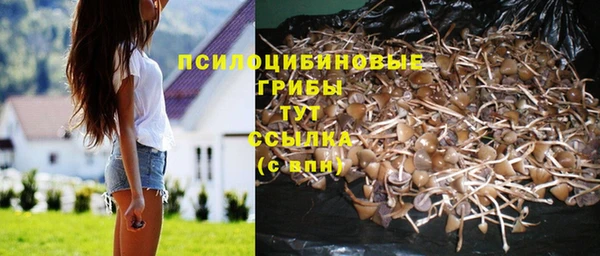 крисы Нефтегорск