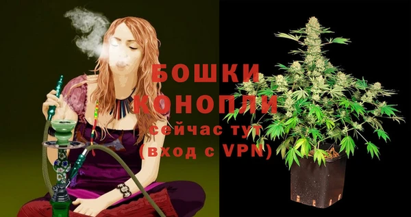 хмурый Нея