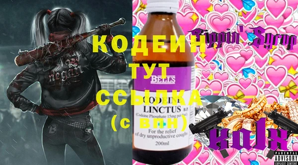 хмурый Нея