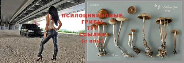 spice Нефтекумск