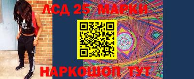 амф Гусев