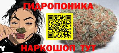 амф Гусев