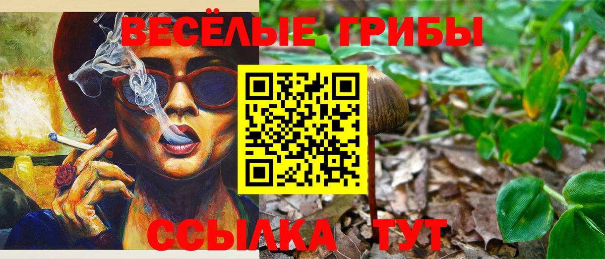 Псилоцибиновые грибы прущие грибы  купить наркотики цена  Псилоцибиновые грибы MAGIC MUSHROOMS  Новозыбков  Вход с VPN 