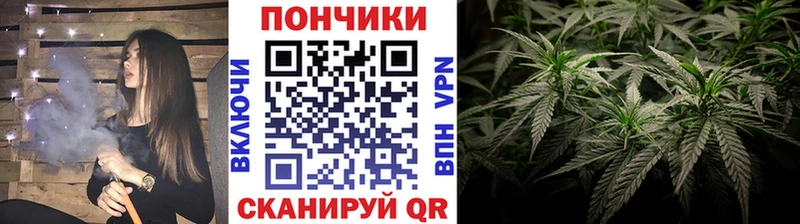 Канабис ГИДРОПОН  Новозыбков 